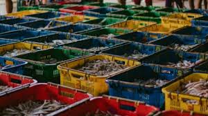 Pasar Pelelangan Buat Ekonomi