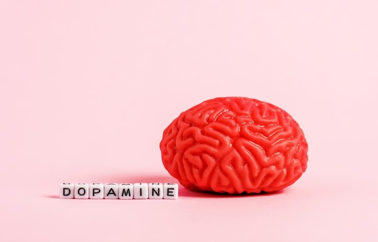 Efek Dopamin Tersembunyi di Balik Sistem Rank